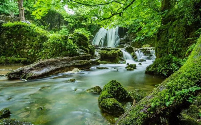 高端高质量